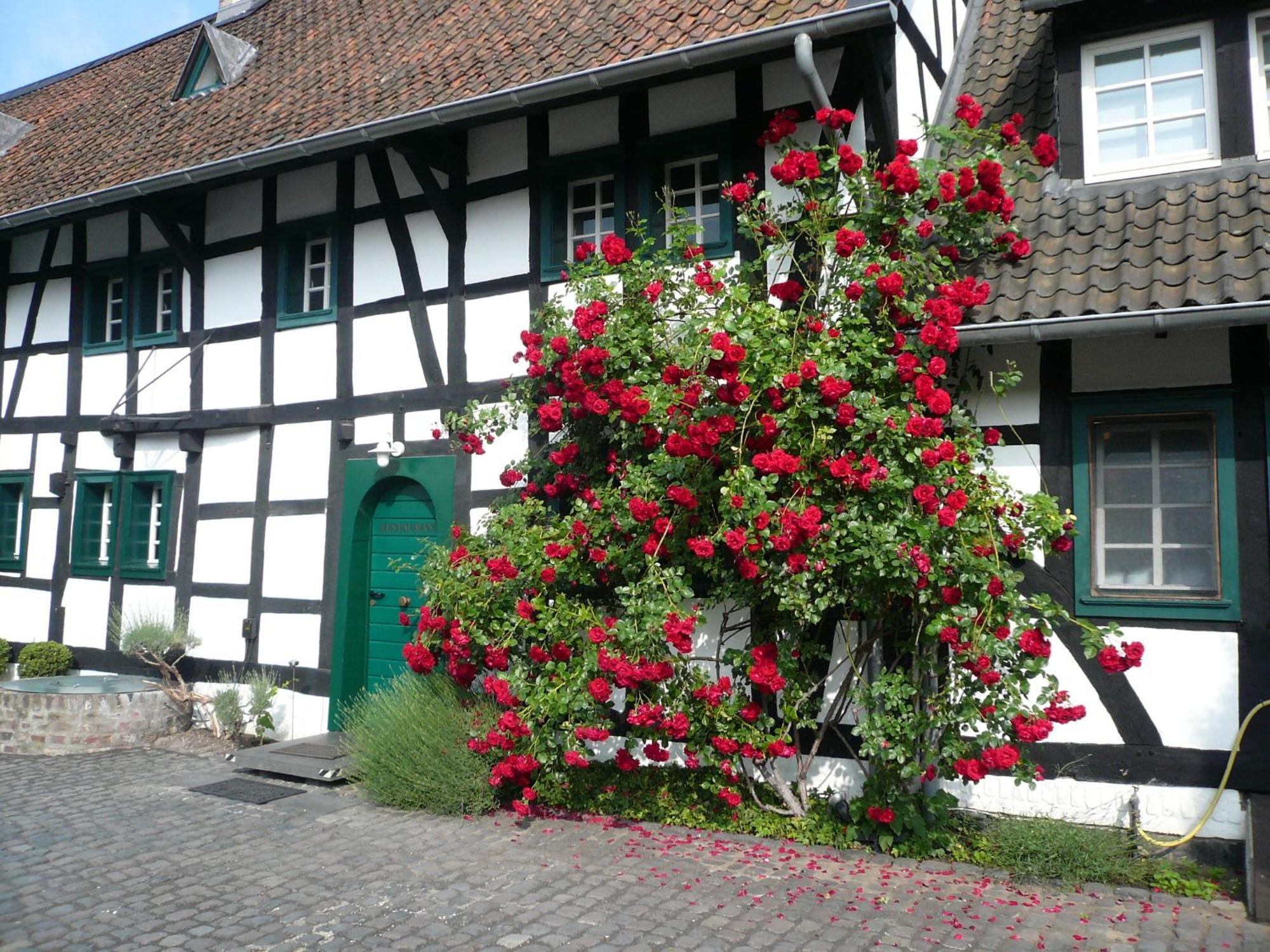 Hotel Falderhof Köln